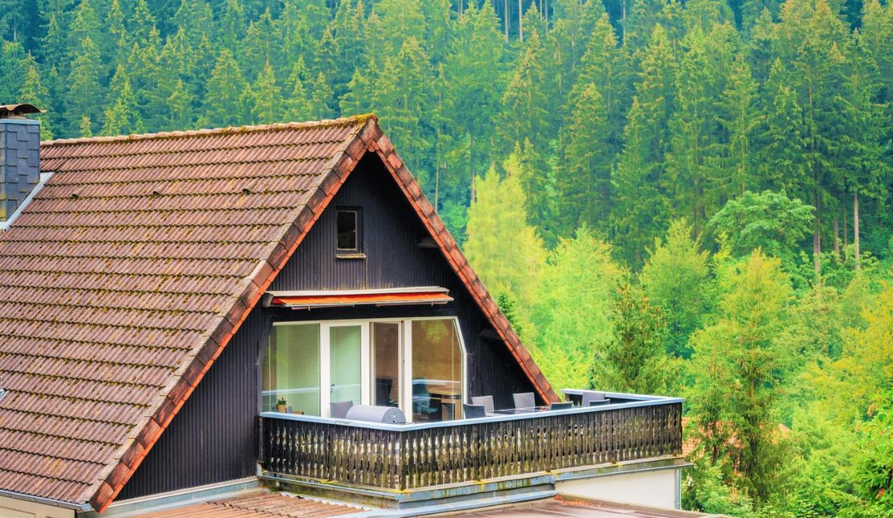 Ferienwohnungen Und Ferienhaus Hafermarkt Wildemann Bagian luar foto