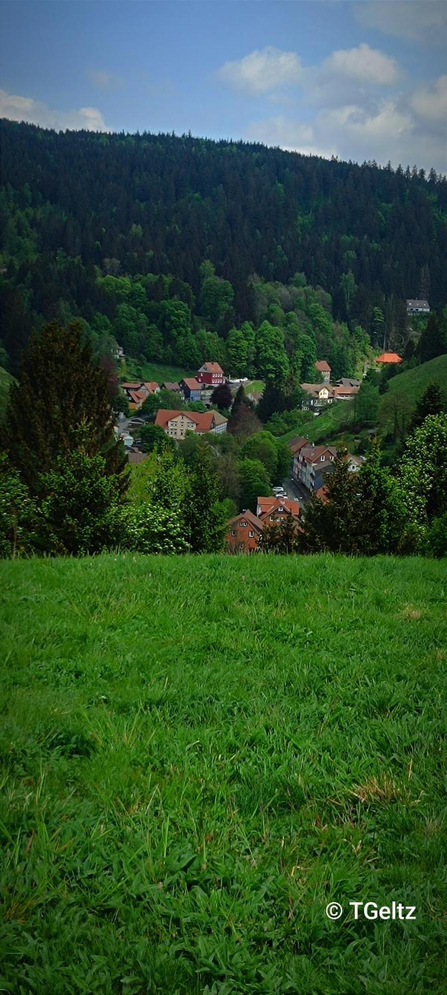 Ferienwohnungen Und Ferienhaus Hafermarkt Wildemann Bagian luar foto