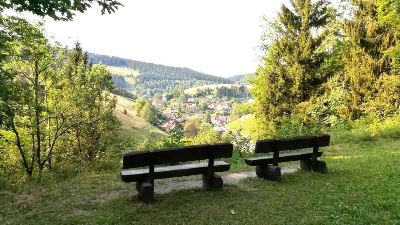 Ferienwohnungen Und Ferienhaus Hafermarkt Wildemann Bagian luar foto