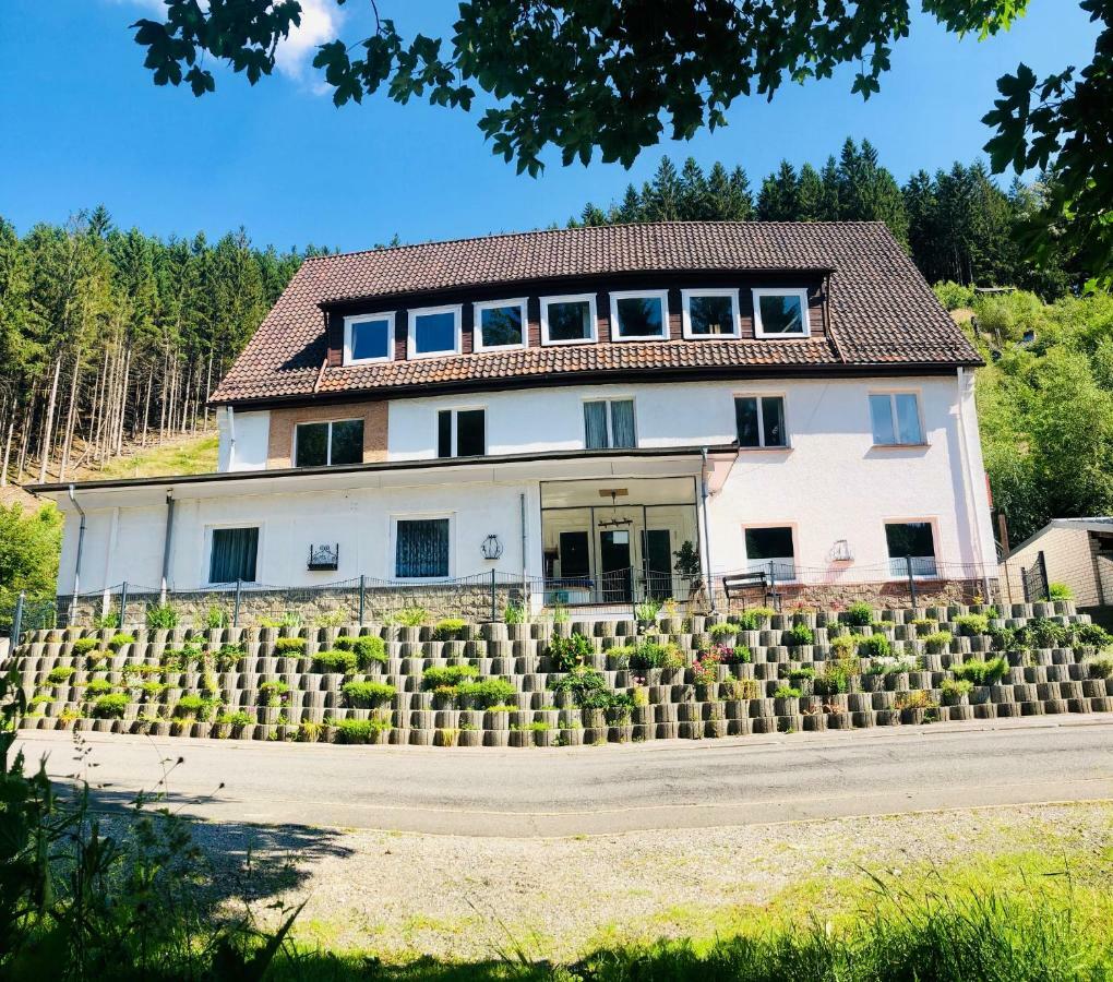 Ferienwohnungen Und Ferienhaus Hafermarkt Wildemann Bagian luar foto